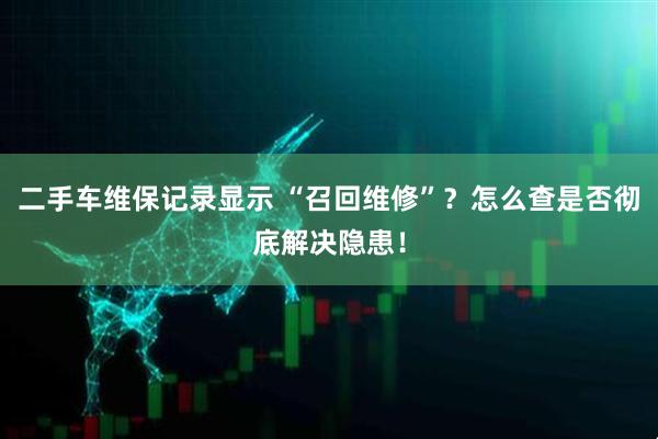 二手车维保记录显示 “召回维修”？怎么查是否彻底解决隐患！